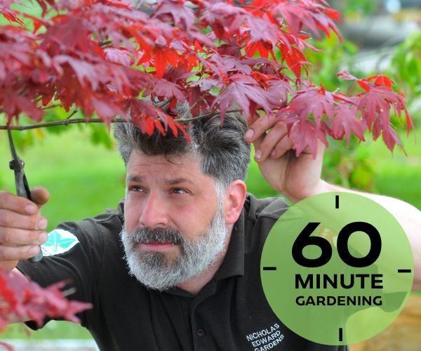 60 minute gardening image and text