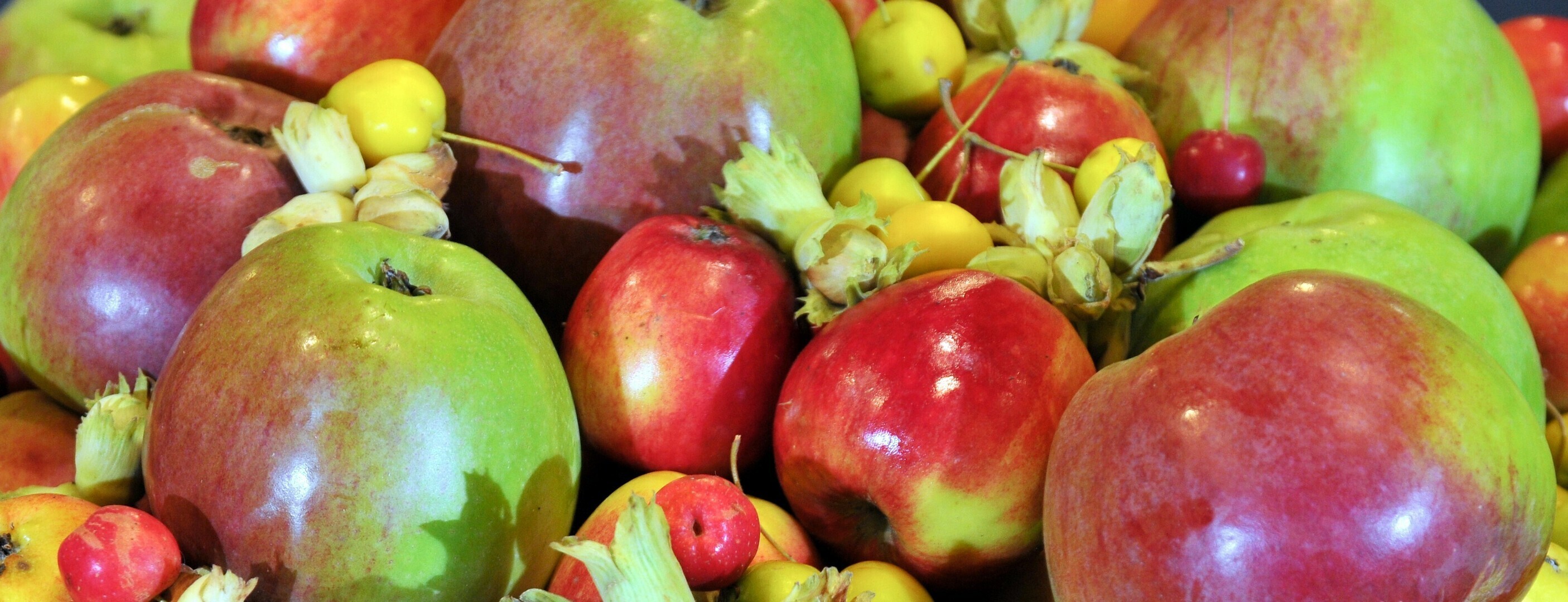 Apple Donutbanner