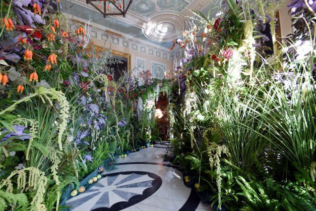 Blooms in the Rooms 1