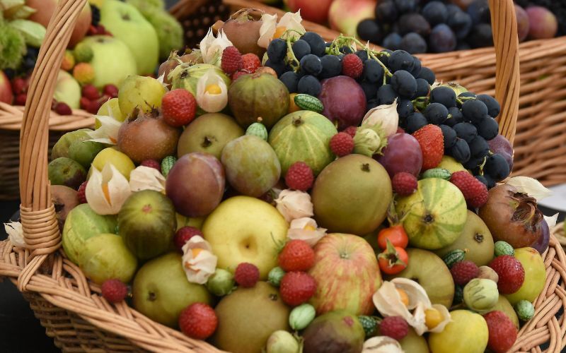Fruit and Veg Competitions