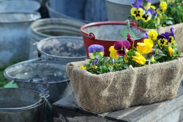 Garden Shopping 11