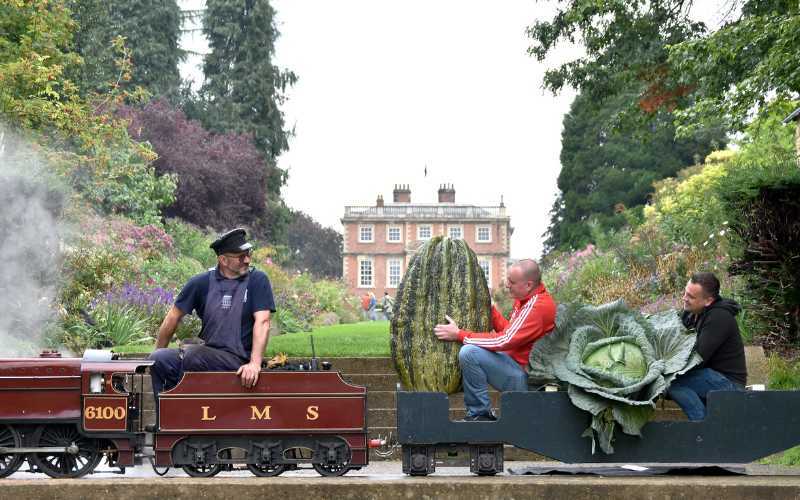Giant Veg on a train A23