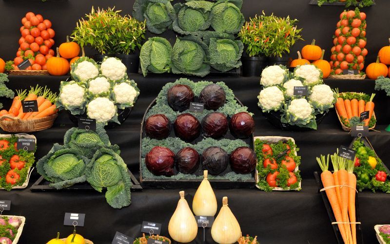 Northern Veg Society