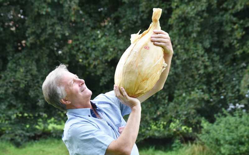 Record breaking onion A23