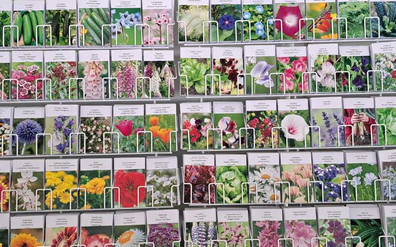 Stocks and Green Seeds indoor Garden Shopping