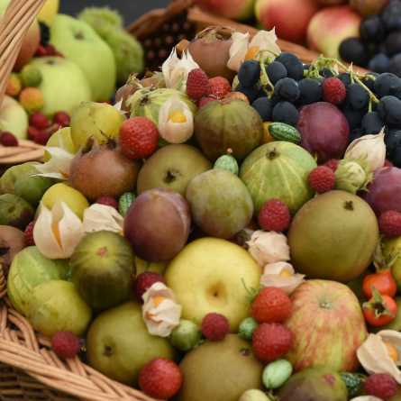 Take Part Fruit and Veg Comp