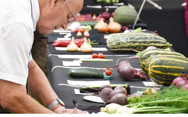 Veg Judge A23