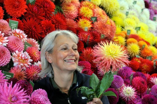 Floral Hall 1