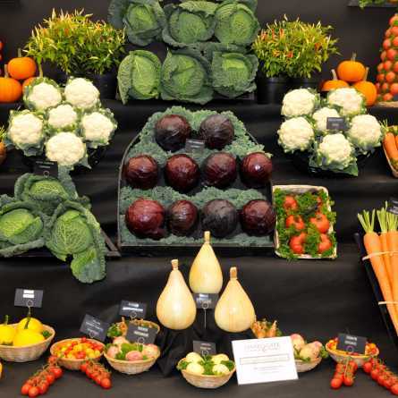 Whats On Incredible Edible