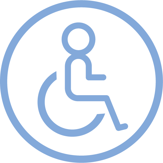 HFS Icon Accessibility spring rgb - Icon